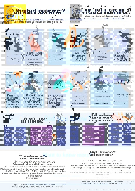 neuter cat infographic