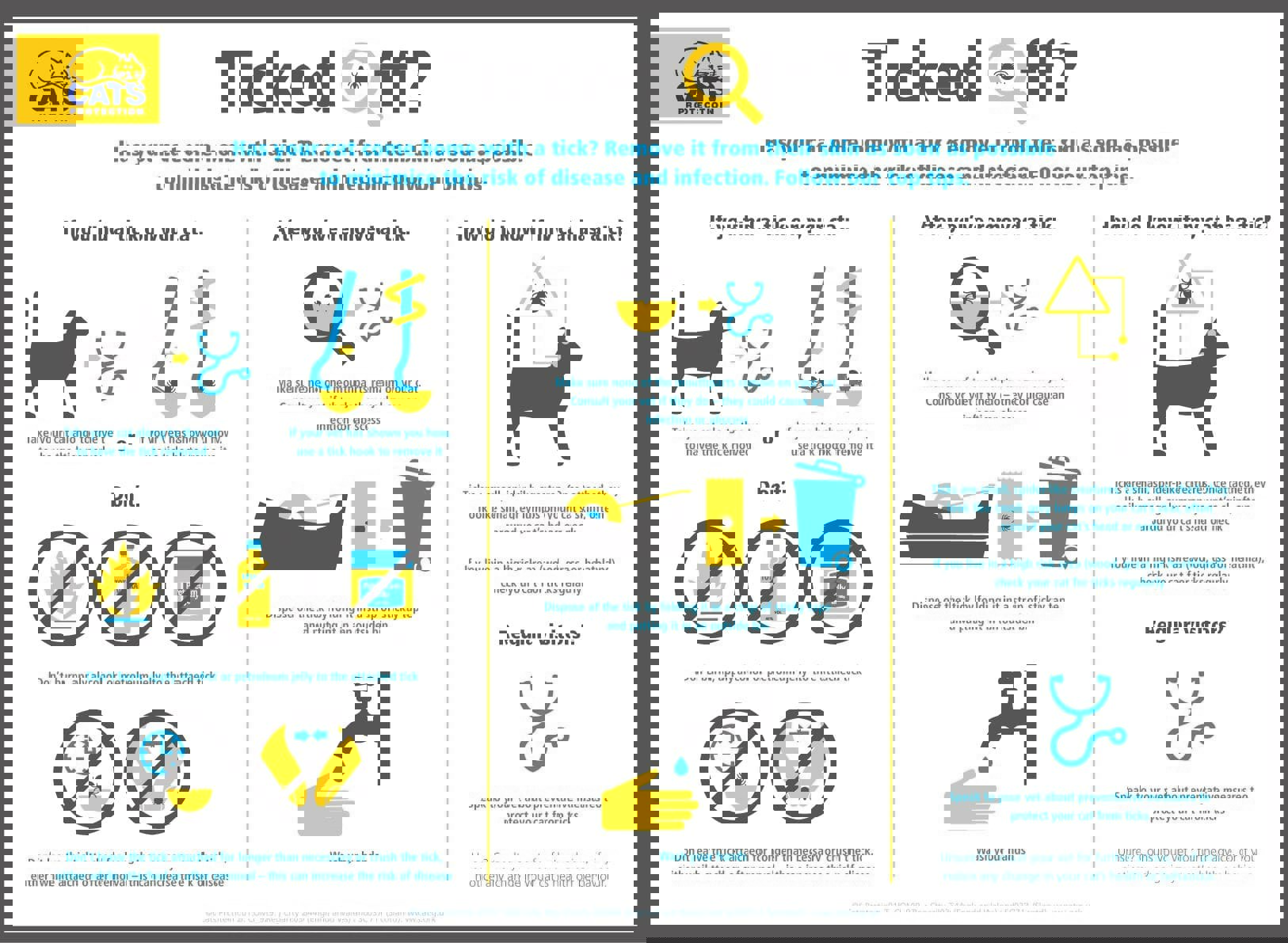 How to remove a tick from your cat guide