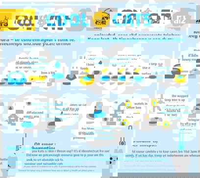 Infographic on how to keep your cat hydrated in summer
