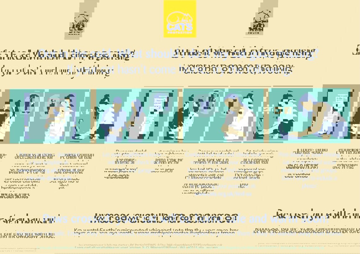 Lost Cat guide: what to do if your cat goes missing