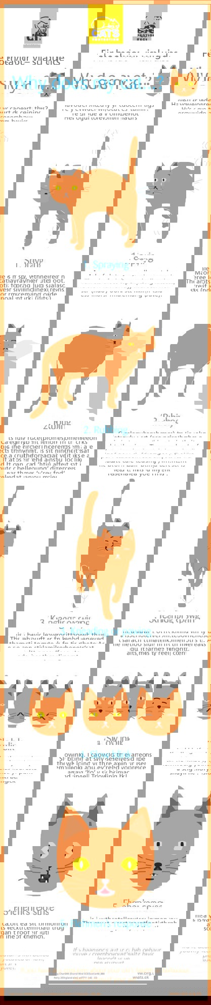 Cats Protection why does my cat information graphic