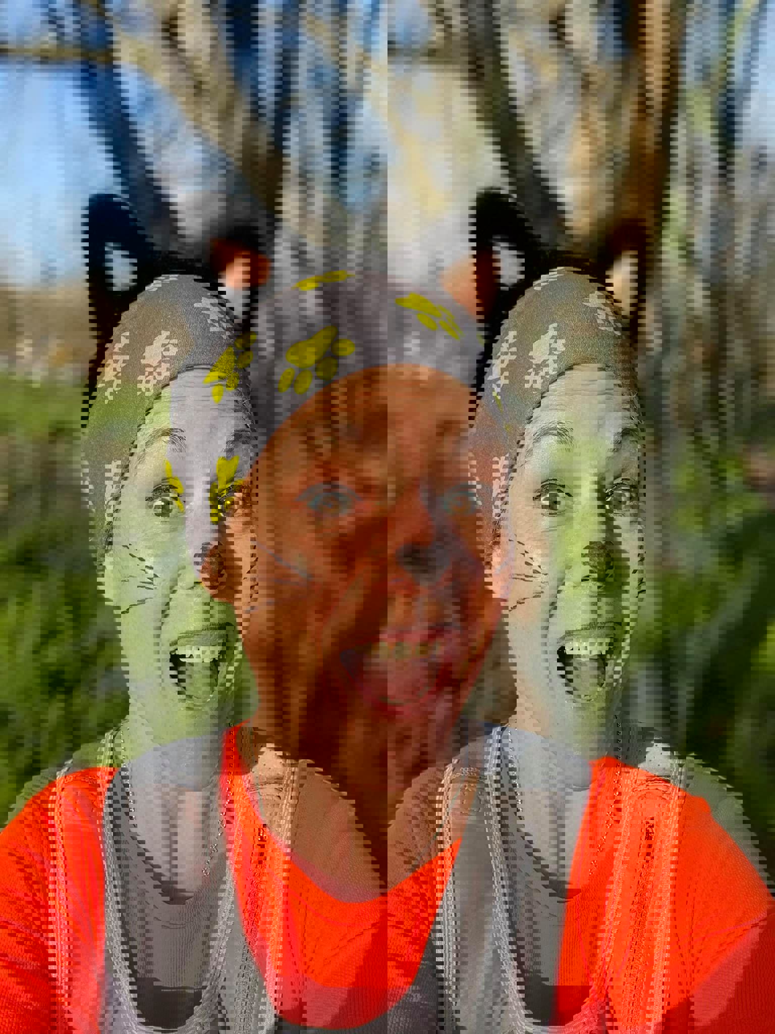 Register your own run for cats