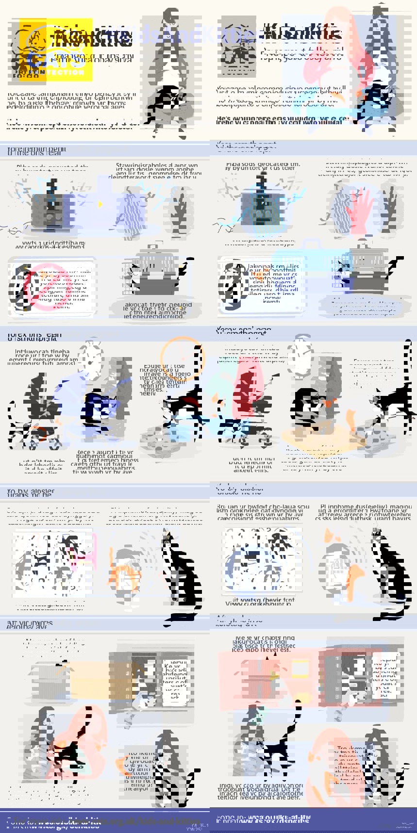 Adapting your cat to your pregnancy graphic