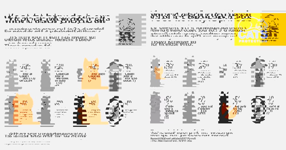 What type of cat to adopt guide