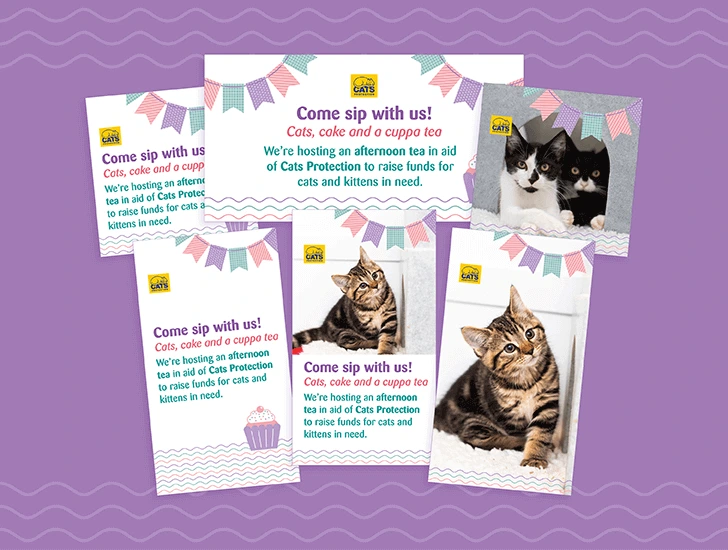 DCF_553 Digital Community Fundraising - Afternoon Tea - Digital Assets Bundle - Downloadable Assets - Website Cards3.png