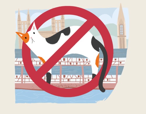 animated gif history of cats – Medieval Europe