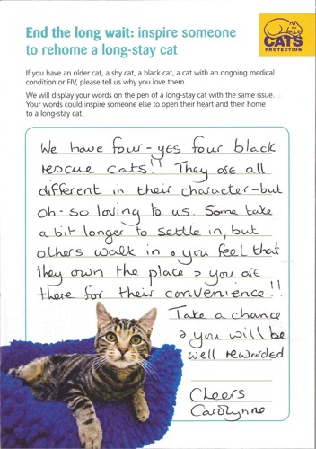 handwritten note from a cat owner who has 4 black cats inspiring other people to adopt a cat