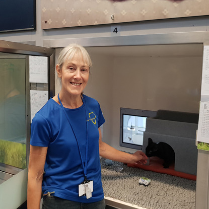 woman at adoption centre pen with cat