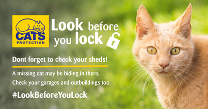 Look before you lock ad with ginger cat