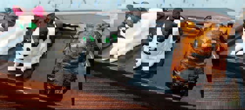 three cakes in the shape of cats