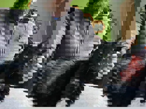 Black cat sitting on bearded man's lap