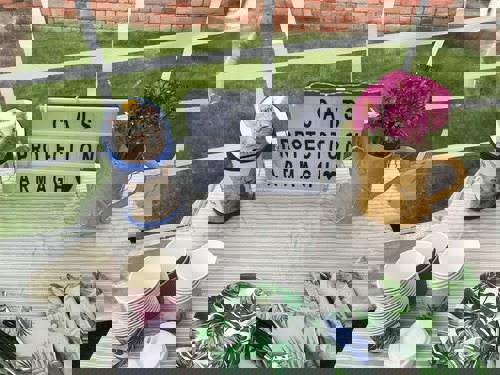 Table featuring Cats Protection donation tin, lightbox with text saying 'Cats Protection Armagh', a vase of flowers and an assortment of paper plates and cups